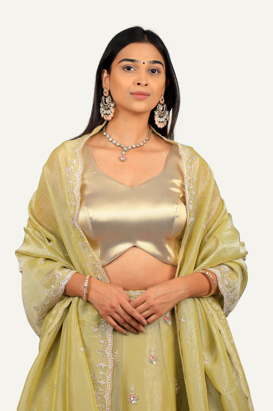 Light Green Crush Shimmer Tissue Zardosi Handwork Lehenga Choli