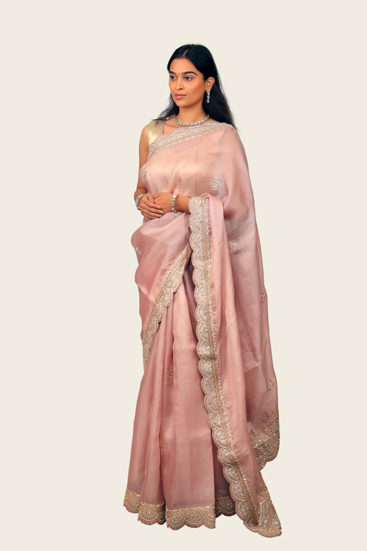 Organza Cutwork Handwork Border with Butta