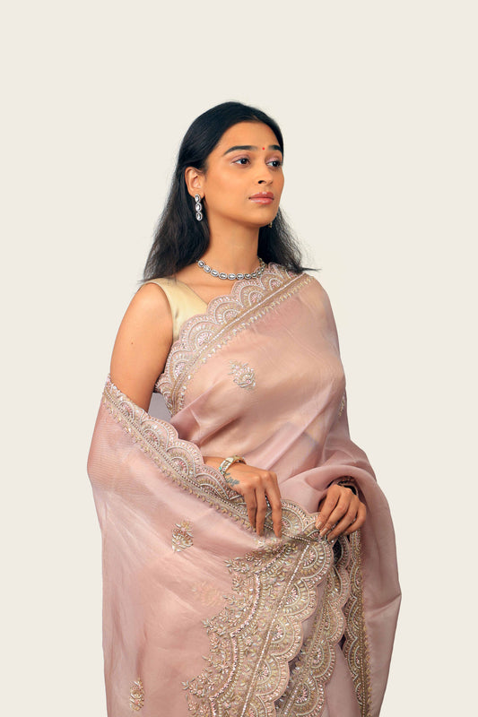 Organza Cutwork Handwork Border with Butta