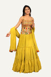 Georgette Lehenga Choli with Resham Work Blouse