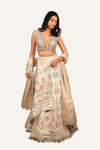 Silk Banarasi Handwork Lehenga Choli
