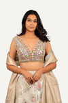 Silk Banarasi Handwork Lehenga Choli