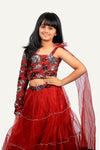 One-Shoulder Maroon Gown