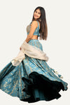 Banarasi Silk Handwork Lehenga Choli