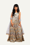 Elegant Gray Georgette Designer Gown