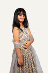 Elegant Gray Georgette Designer Gown