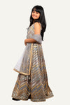 Elegant Gray Georgette Designer Gown