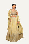 Crush Gold Tissue Zardosi Work Lehenga Choli