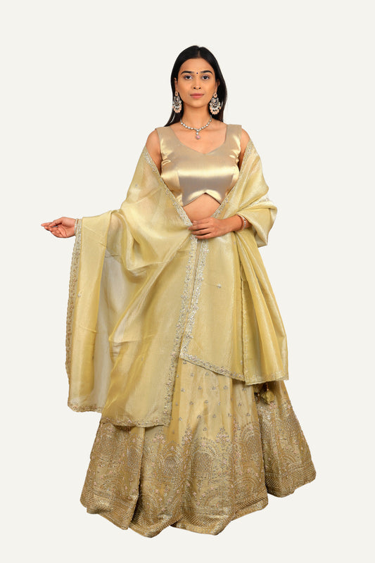 Crush Gold Tissue Zardosi Work Lehenga Choli