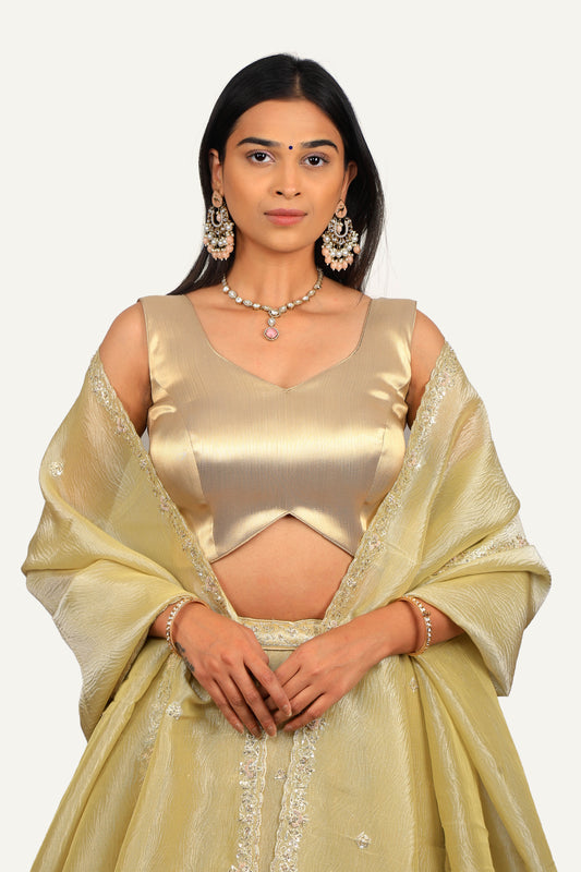 Crush Gold Tissue Zardosi Work Lehenga Choli