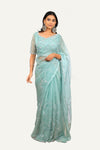 Organza Handwork Saree with Ready Blouse