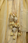 Crush Gold Tissue Zardosi Work Lehenga Choli