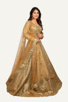 Leather Work Chaniya Choli