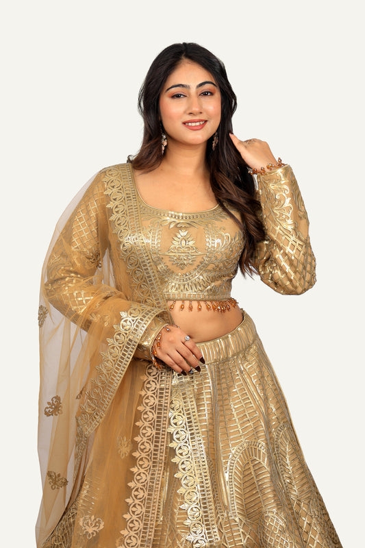 Leather Work Chaniya Choli
