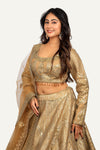 Leather Work Chaniya Choli
