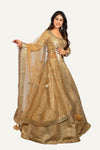 Leather Work Chaniya Choli