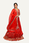 Banarasi Silk Handwork Lehenga Choli