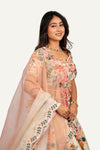 Raw Silk Resham & Zardosi Work Lehenga Choli