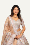 Raw Silk Embroidery Lehenga Choli