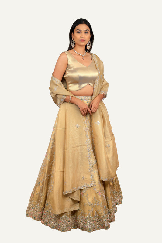 Crush Gold Tissue Handwork Lehenga Choli