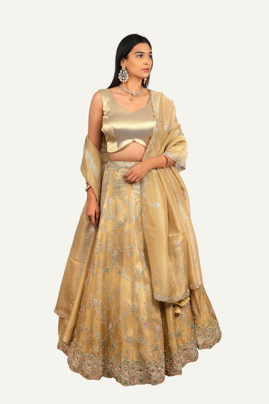 Crush Gold Tissue Handwork Lehenga Choli