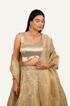 Crush Gold Tissue Handwork Lehenga Choli