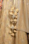 Crush Gold Tissue Handwork Lehenga Choli