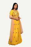 Yellow Italian Crepe Lehenga Choli with Fully Handworked Blouse