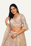 Cream Net Resham & Mirror Work Lehenga Choli