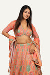 Silk Multi-Color Lehenga Choli