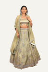 Pista Crush Tissue Resham & Zardosi Work Lehenga Choli