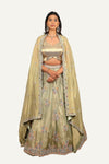 Pista Crush Tissue Resham & Zardosi Work Lehenga Choli