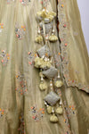 Pista Crush Tissue Resham & Zardosi Work Lehenga Choli