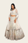 White Imported Net Swarovski & Machine Work Lehenga Choli