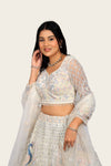 White Imported Net Swarovski & Machine Work Lehenga Choli