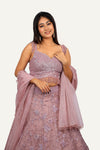 Soft Organza Sparkling Lehenga Choli with Sequence & Heavy Hand Work Blouse