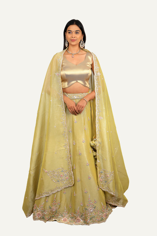 Light Green Crush Shimmer Tissue Zardosi Handwork Lehenga Choli