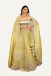 Light Green Crush Shimmer Tissue Zardosi Handwork Lehenga Choli