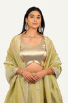 Light Green Crush Shimmer Tissue Zardosi Handwork Lehenga Choli