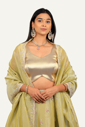 Light Green Crush Shimmer Tissue Zardosi Handwork Lehenga Choli