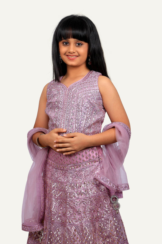 Lavender Chaniya Choli Set