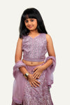 Lavender Chaniya Choli Set