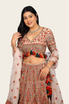 Silk Embroidery Multi-Color Lehenga Choli