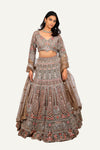 Imported Net Lehenga Choli with Machine Work