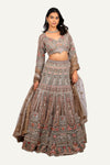 Imported Net Lehenga Choli with Machine Work