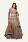 Imported Net Lehenga Choli with Machine Work