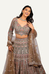 Imported Net Lehenga Choli with Machine Work