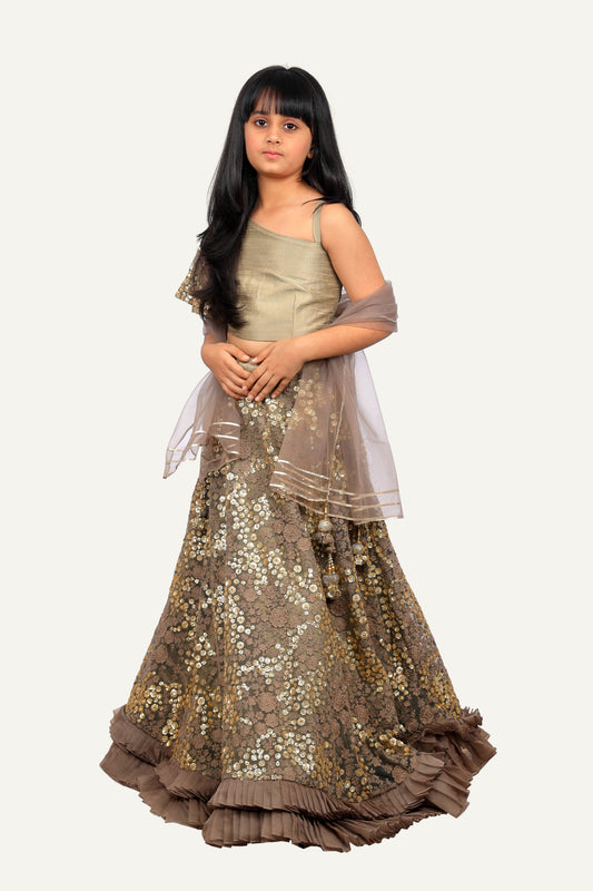 One-Shoulder Chaniya Choli Set