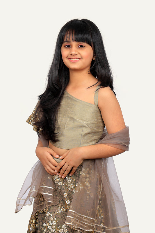 One-Shoulder Chaniya Choli Set