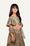 One-Shoulder Chaniya Choli Set
